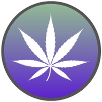 Salesforce for Cannabis logo - Similar company to Cannabis Essentials