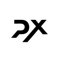 Pyx AI logo - Similar company to Boost Venture Consulting