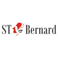 STBERNARD PROJECT logo - Similar company to Melchior Project