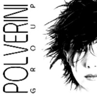 Polverini Group logo - Similar company to Rifugio Digitale