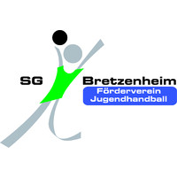 Verein zur Förderung des Jugendhandballsports der SG TSG/DJK Bretzenheim e.V. logo - Similar company to Liersch Retail Solution