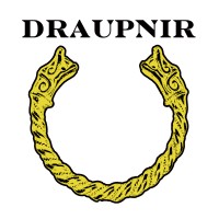 Draupnir Infrastructure Group, LLC logo - Similar company to Wōden