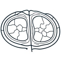 Rize Oncology logo - Similar company to Genetether Therapeutics Inc (Cse: Gttx)
