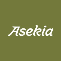 Asekia logo - Similar company to Ni' Nava & Associates