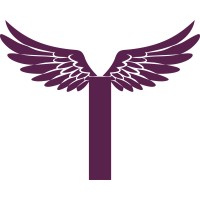 Toshmi logo - Similar company to Tellselling.Tech