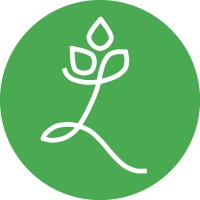 Lillie Leaf Solutions