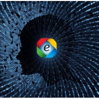 Equilibria Services