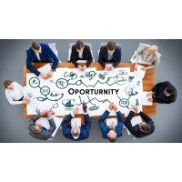 Business Consulting Group and Opportunity logo - Similar company to Solfinite Energy