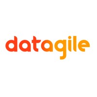 Datagile logo - Similar company to Proit Fest