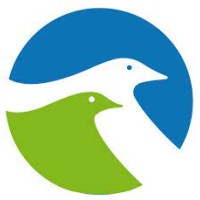 International Forum for Peace logo - Similar company to Women United For Peace