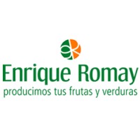 Grupo Enrique Romay logo - Similar company to Pateco