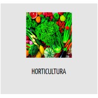 Departamento De Produção Vegetal - Esalq/Usp