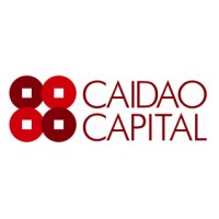 CAIDAO CAPITAL Limited logo - Similar company to Lee & Yu Cpa 李志輝·余仲良會計師事務所