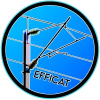 EFFICAT logo - Similar company to Alloferro
