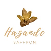 Hazande logo - Similar company to Saruhan Brothers