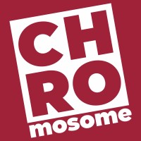 CHROmosome Consulting & IT Solutions logo - Similar company to Tech Simians India Pvt. Ltd