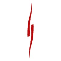 Dark Side Movement logo - Similar company to Risk Flow S.R.O.