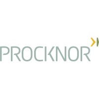 Procknor Engenharia Ltda logo - Similar company to Vs Engenharia