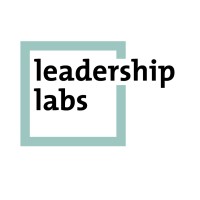 Leadership Labs International logo - Similar company to 360° Leadership Development