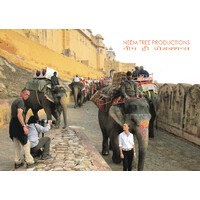NEEM TREE PRODUCTIONS logo - Similar company to Pick Films