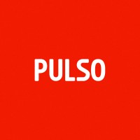 Pulso Conteúdo - Publicidade e Marketing Digital logo - Similar company to Wl Connections