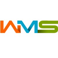 Web And Mobile Solutions Saigon