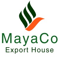 MayaCo Export House Pvt Ltd logo - Similar company to Wellsafe