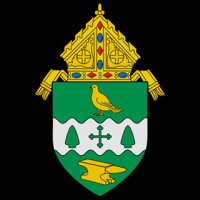 The Catholic Echo logo - Similar company to Compass Wire Cloth