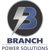 Branch Power Solutions logo - Similar company to Himoinsa France