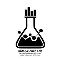 DSLab.Fum logo - Similar company to Scientific Data Analysis Team (Sdat)