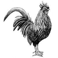 Balboa Santiago logo - Similar company to Restaurante Baco