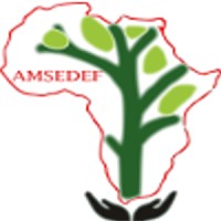 Micro and Small Enterprise Foundation Africa logo - Similar company to Small Enterprise Foundation