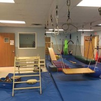 Flourishing Lives logo - Similar company to Back On Track Physiotherapy