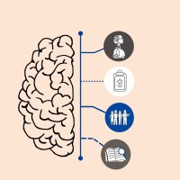 Interdisciplinary Neuroscience Society logo - Similar company to Brain-Hr