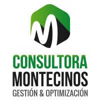 Consultora Montecinos logo - Similar company to Znith