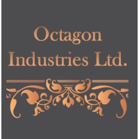 Octagon Industries Ltd logo - Similar company to Rimed Ag