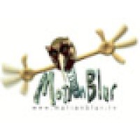 Motion Blur logo - Similar company to Motion Blur