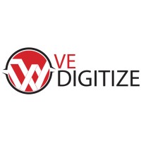 Vedigitize logo - Similar company to Itfellow Solution Network