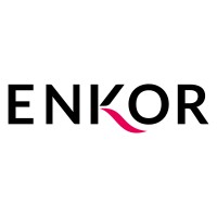 Enkor Profesional logo - Similar company to Manata