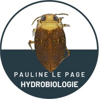 Pauline Le Page Hydrobiologie logo - Similar company to Syndicat Mixte D'Aménagement De La Basse Et Moyenne Vallée De L'Ognon