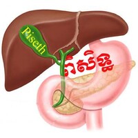 Medical Doctor Piseth Clinic Cambodia logo - Similar company to Laos Assistance