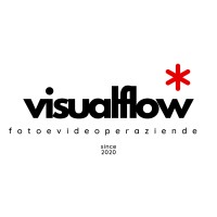 Visualflow logo - Similar company to Album Epoca