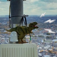 LoRaWAN T-Rex logo - Similar company to Lorawan Peru