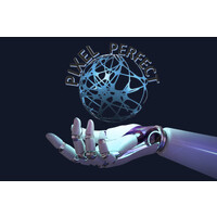 Pixel Perfect logo - Similar company to Alpha Fusion Technologies