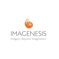 Imagenesis logo - Similar company to Money Multiplier