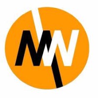 Magnum Works Endüstriyel Dağcılık logo - Similar company to Owlaq