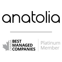 Anatolia logo - Similar company to Stelo Premium Surfaces