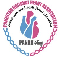 Pakistan National Heart Association (PANAH) logo - Similar company to Huntersolutions