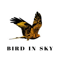 Bird in Sky logo - Similar company to Enaid Creative