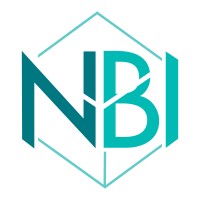 NarnajaBI logo - Similar company to Vizztra